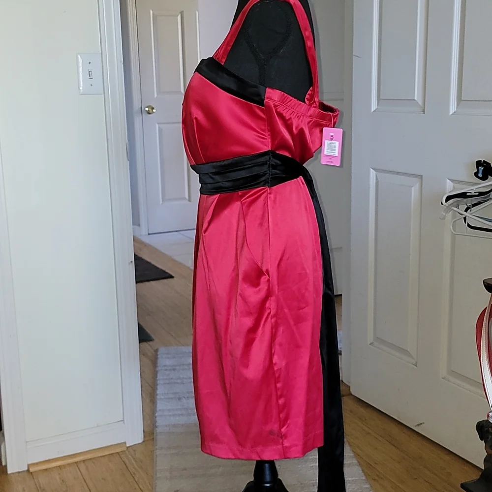 TORRID DRESS - Picture 4 of 10